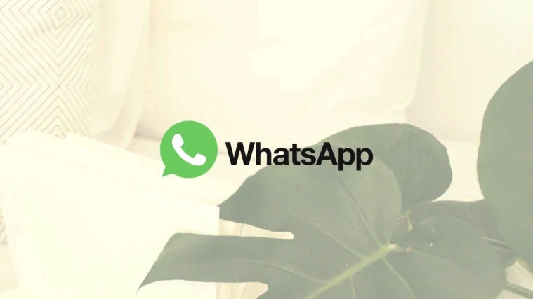 Cách xóa tài khoản Whatsapp và tất cả dữ liệu Whatsapp triệt để