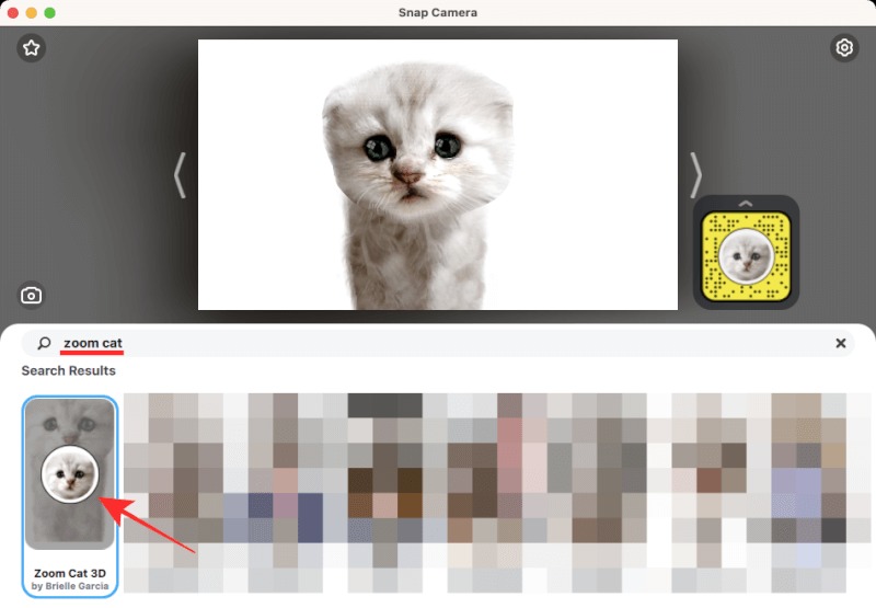 Cách hóa thân thành mèo trên Zoom khi gọi Video bằng bộ lọc Cat Filter