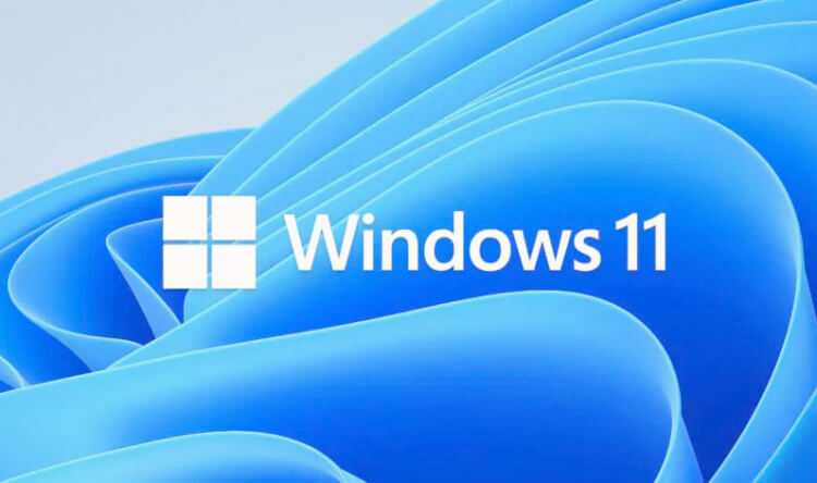 7 việc cần làm trên Windows 11 sau khi nâng cấp từ Windows 10