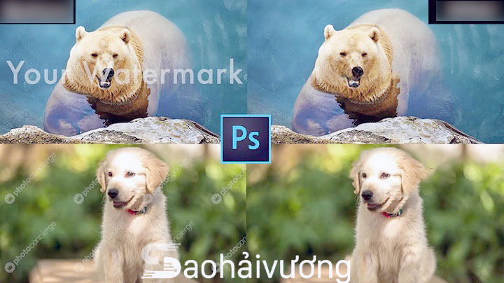 Cách chèn logo/chữ/khung hàng loạt vào ảnh bằng Photoshop trên Macbook và Windows