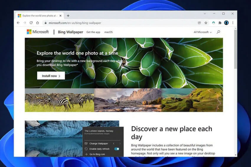 Bing không chỉ có tìm kiếm web tuyệt vời, mà còn cung cấp các hình nền cho Windows 11 đẹp mắt và sáng tạo. Tải ngay và tận hưởng các bức ảnh độc đáo, truyền cảm hứng từ khắp nơi trên thế giới.