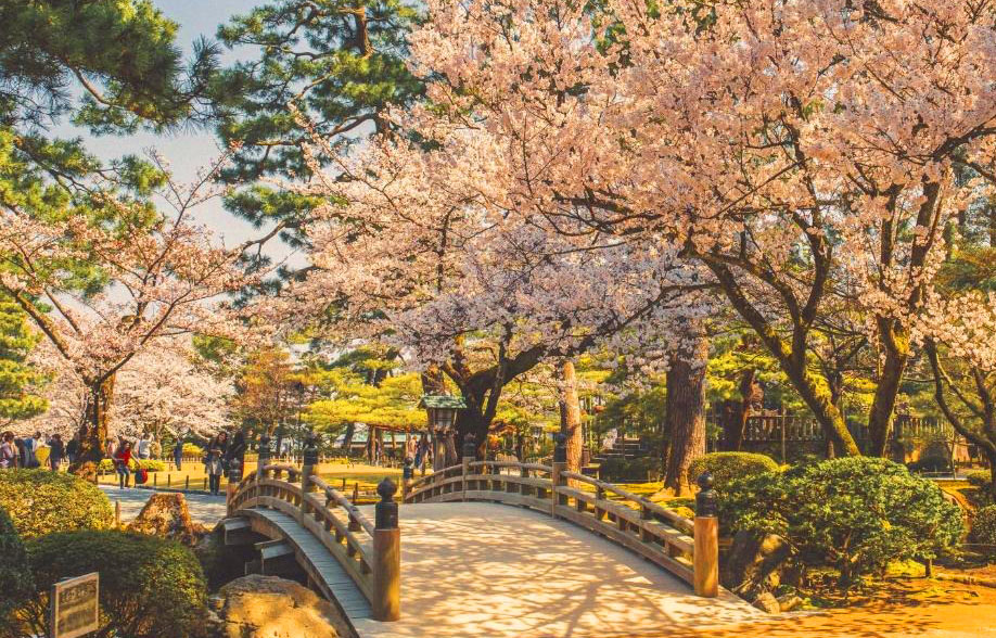 7 địa điểm ngắm hoa anh đào ở Nhật Bản