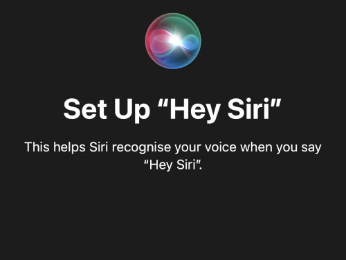 Hướng dẫn dùng Siri trên iPhone 14 đầy đủ